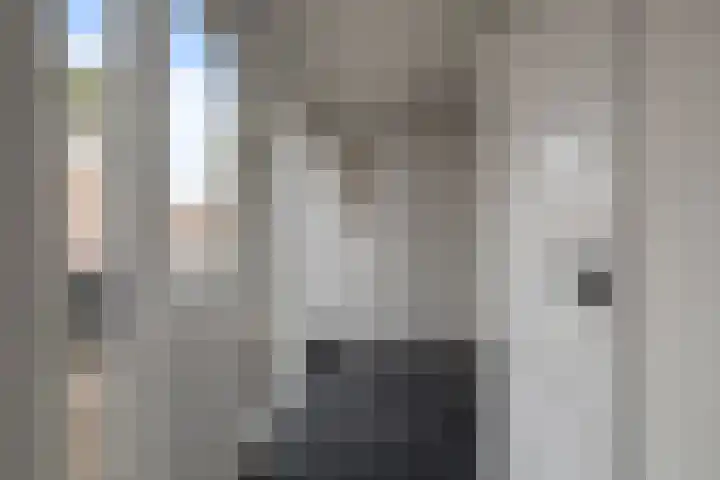 Warande 25 Callantsoog thumbnail 13