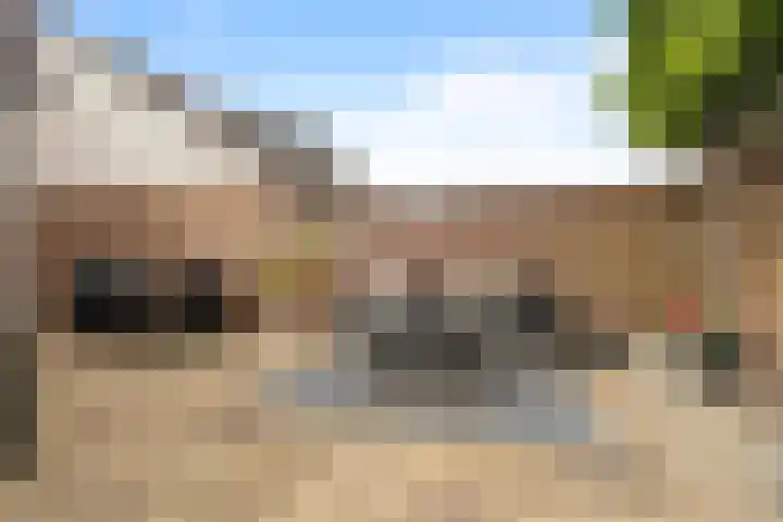 Warande 25 Callantsoog thumbnail 18