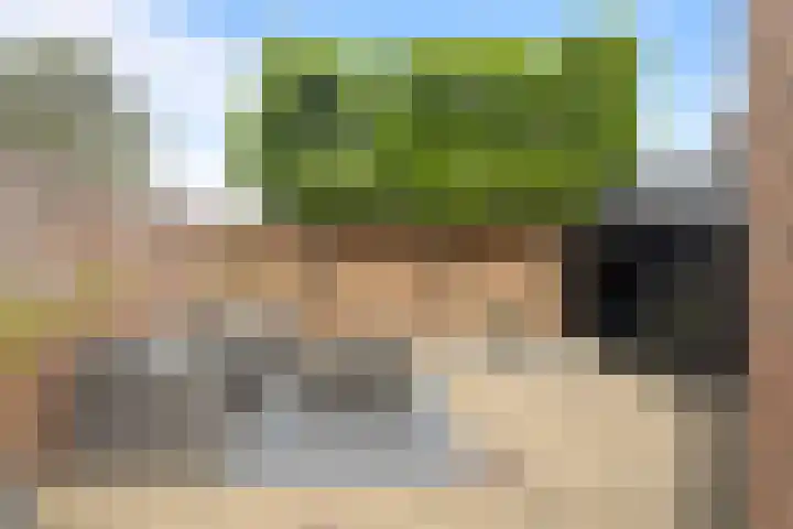 Warande 25 Callantsoog thumbnail 19