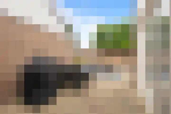 Warande 25 Callantsoog thumbnail 20