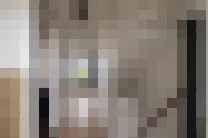 Warande 25 Callantsoog thumbnail 21