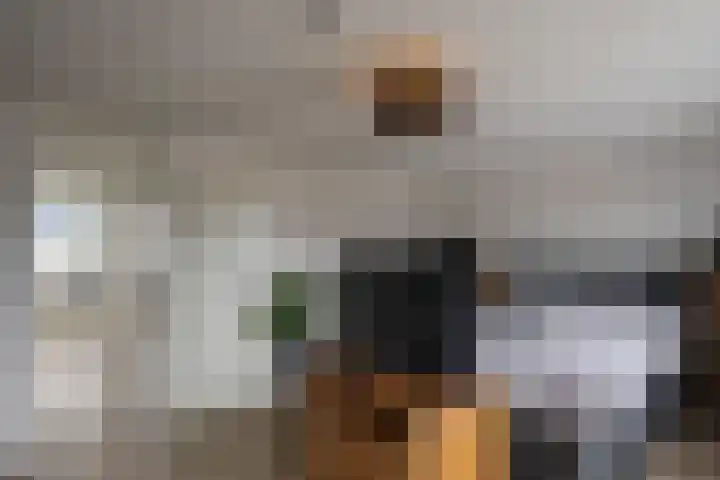 Warande 25 Callantsoog thumbnail 23