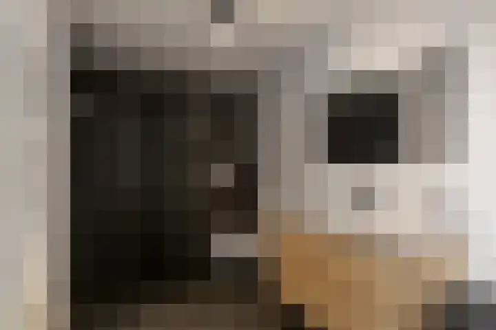 Warande 25 Callantsoog thumbnail 25