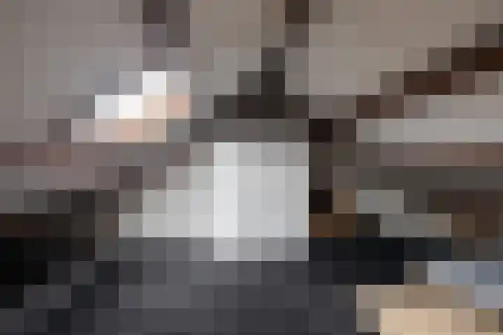 Warande 25 Callantsoog thumbnail 30