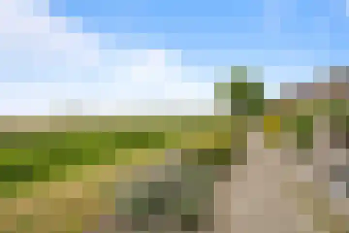 Warande 25 Callantsoog thumbnail 31