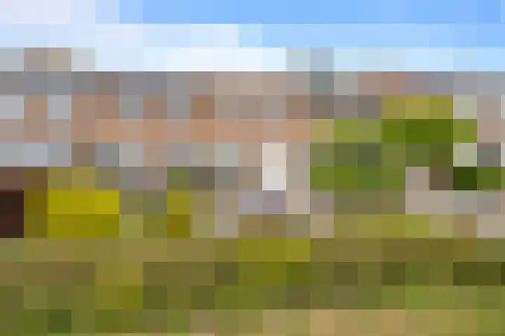 Warande 25 Callantsoog thumbnail 37