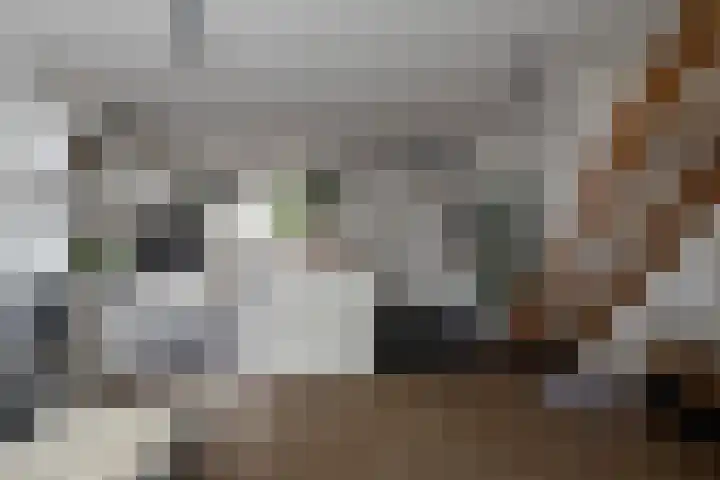 Warande 25 Callantsoog thumbnail 8