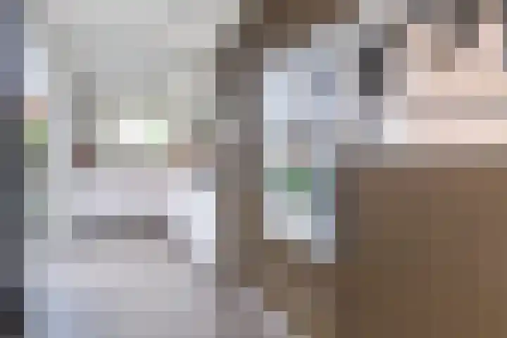Warande 29 Callantsoog thumbnail 23