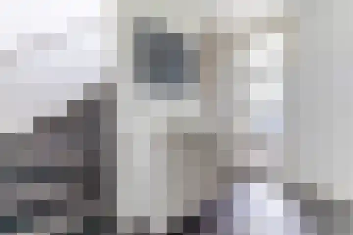 Warande 29 Callantsoog thumbnail 29