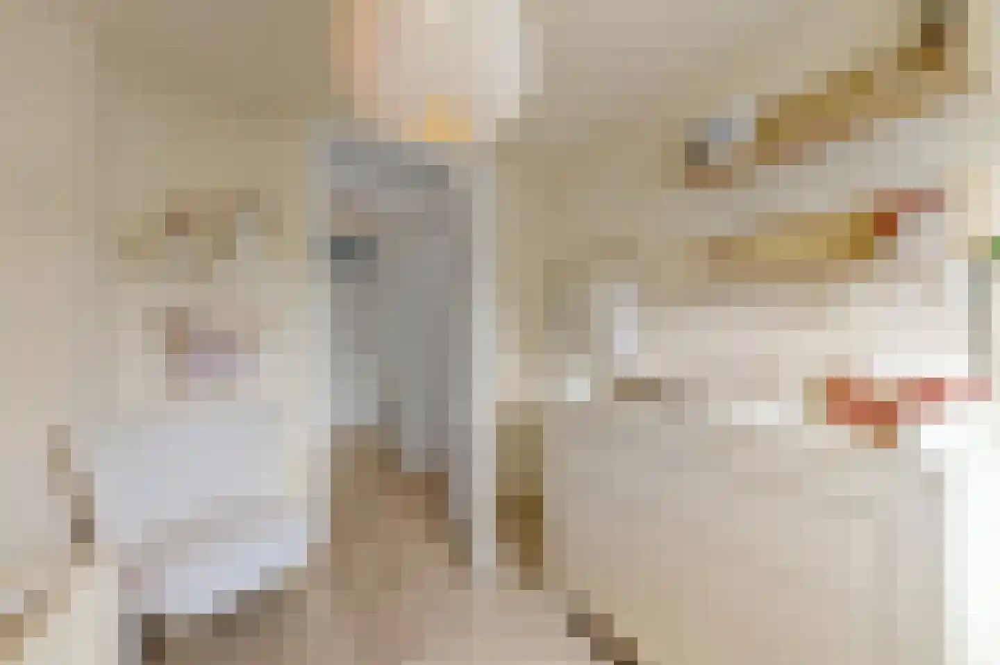 Warande 29 Maasland thumbnail 28