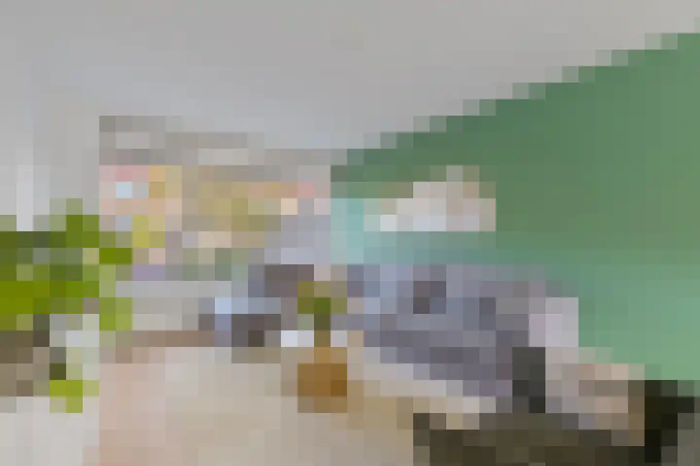 Warande 29 Maasland thumbnail 7