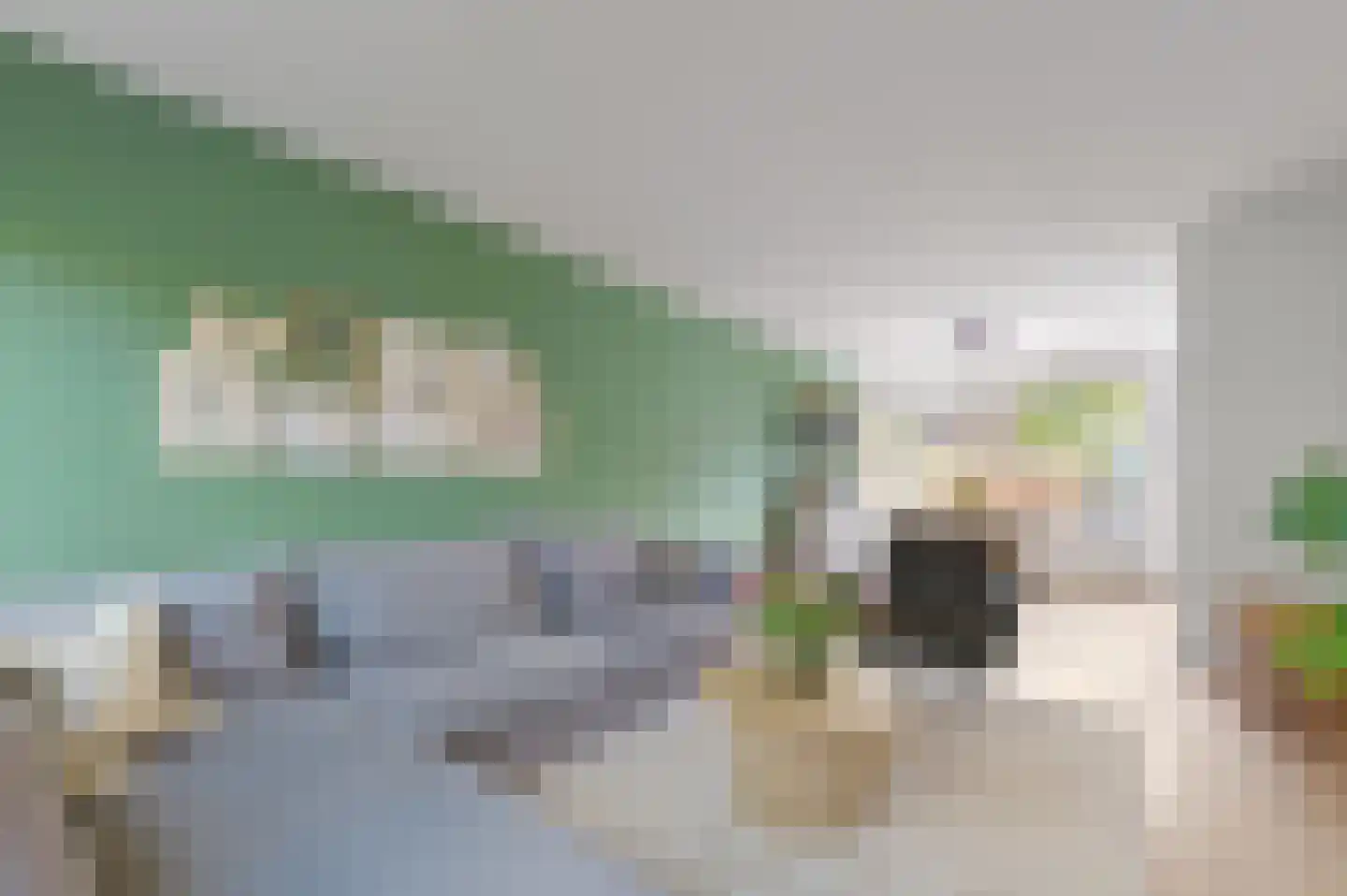 Warande 29 Maasland thumbnail 8