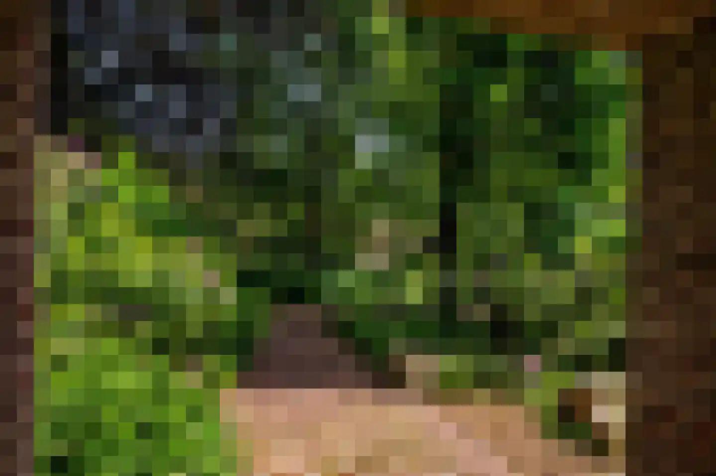 Warande 3 Deurne thumbnail 11