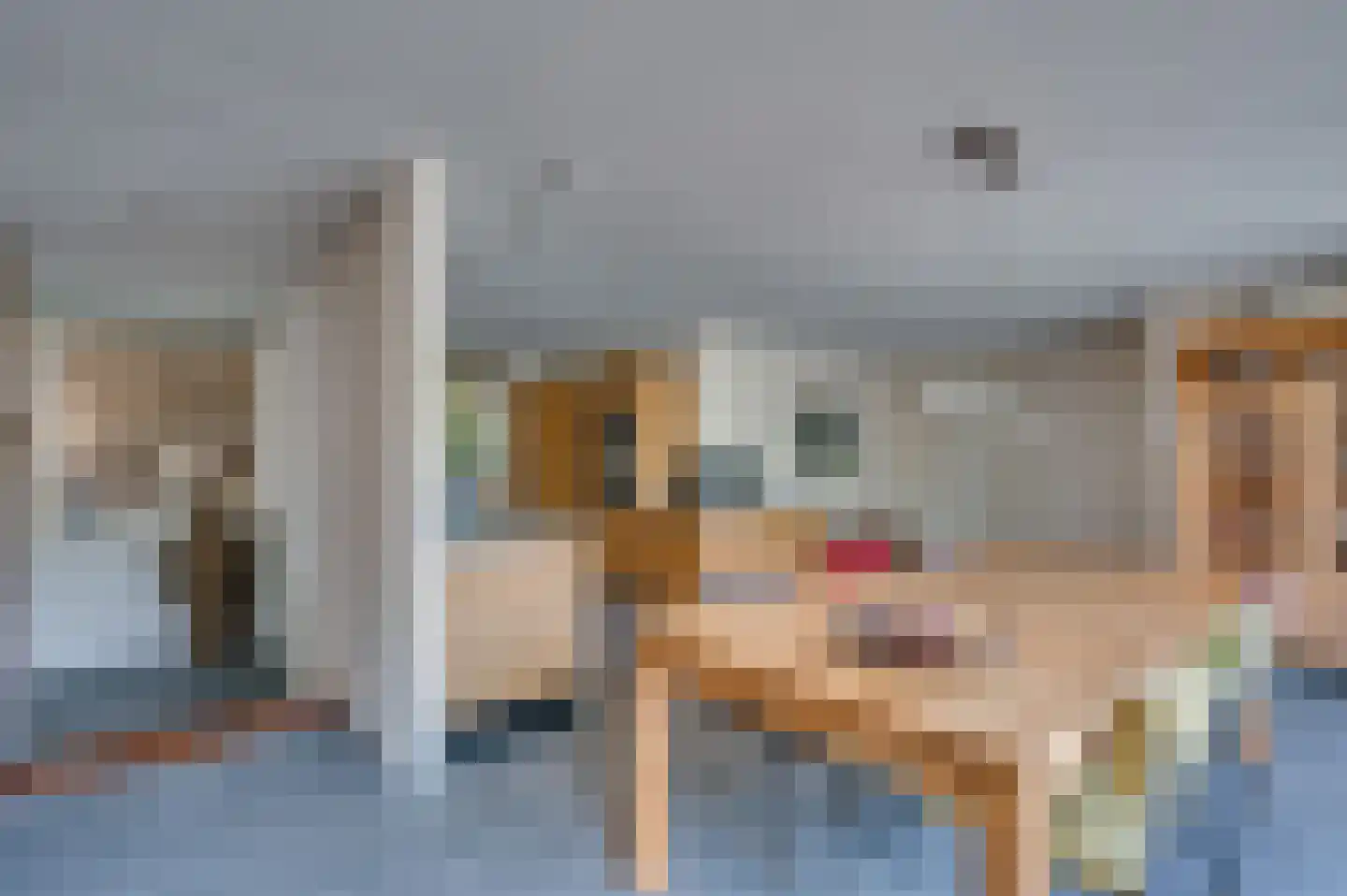 Warande 3 Deurne thumbnail 20