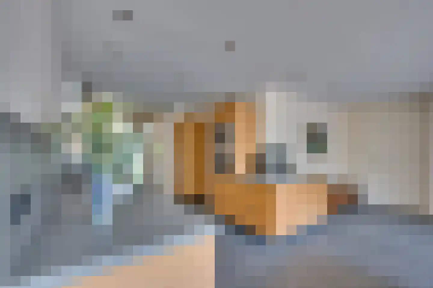 Warande 3 Deurne thumbnail 22