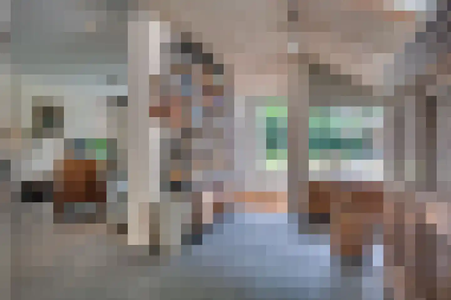 Warande 3 Deurne thumbnail 25