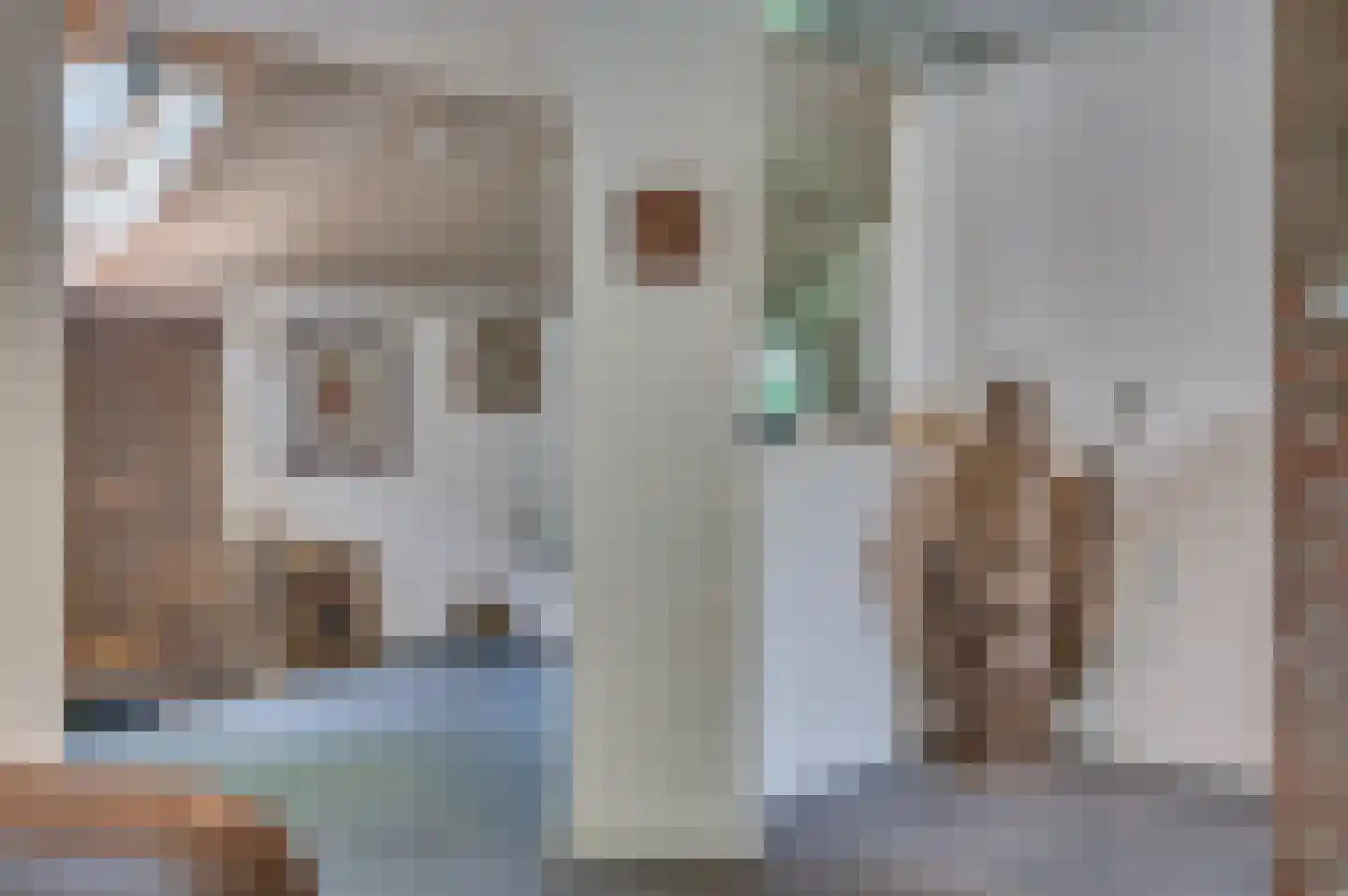 Warande 3 Deurne thumbnail 32