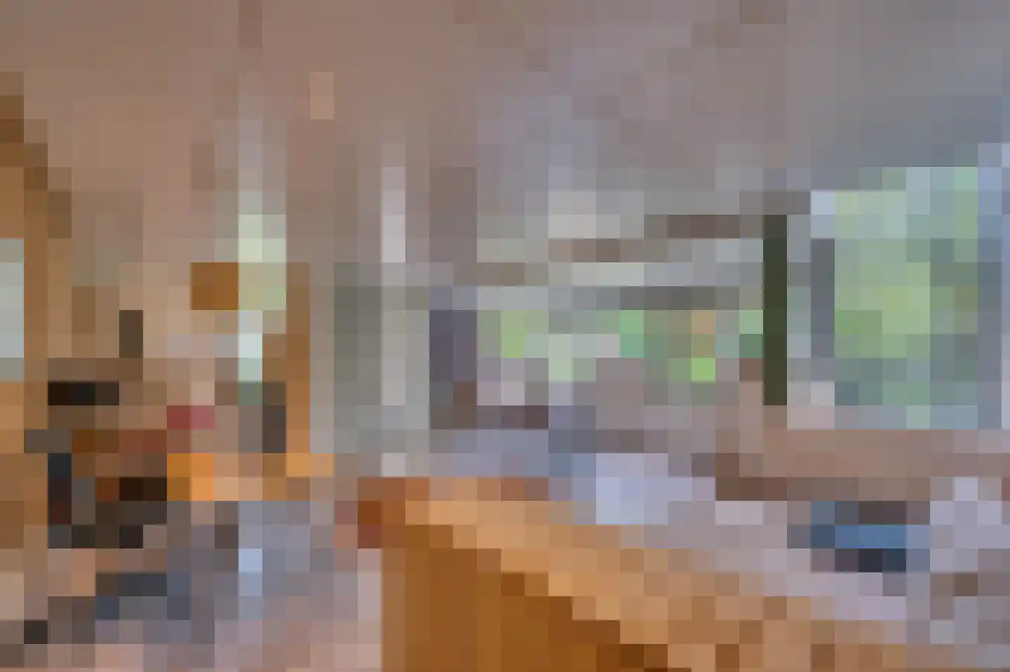 Warande 3 Deurne thumbnail 5