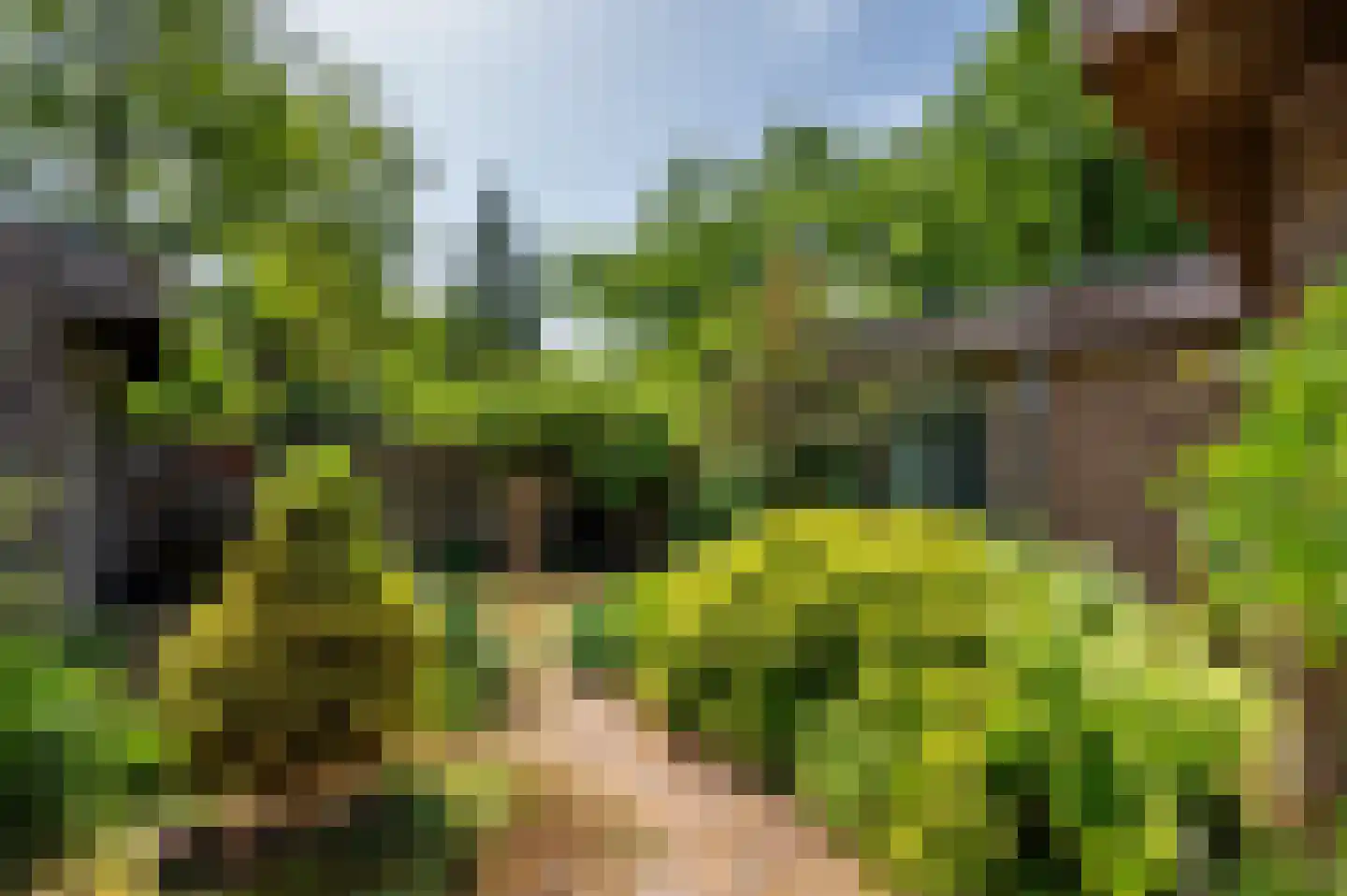 Warande 3 Deurne thumbnail 52