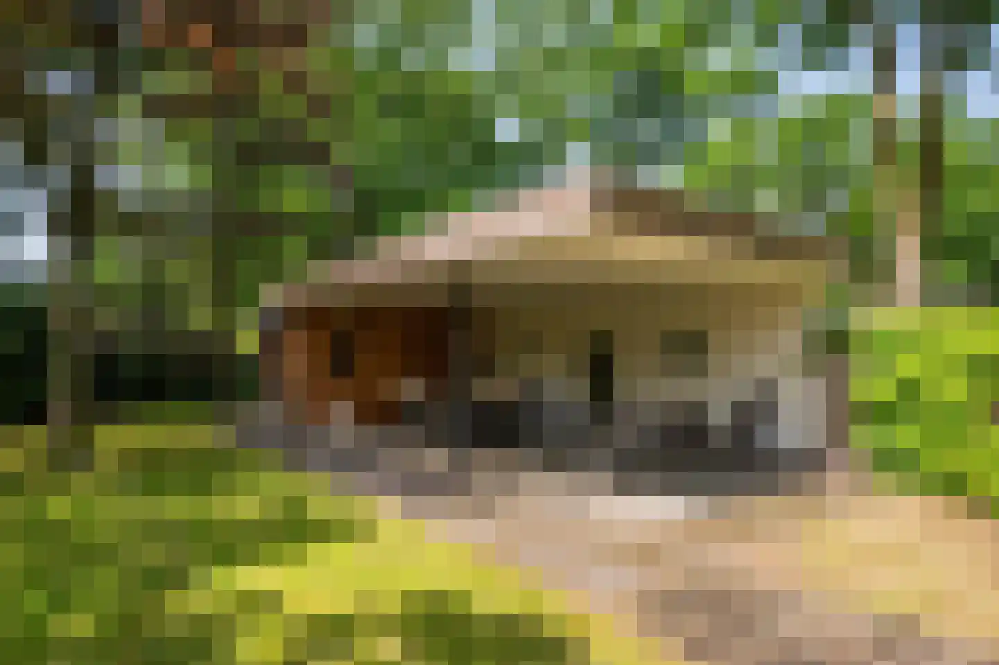 Warande 3 Deurne thumbnail 56