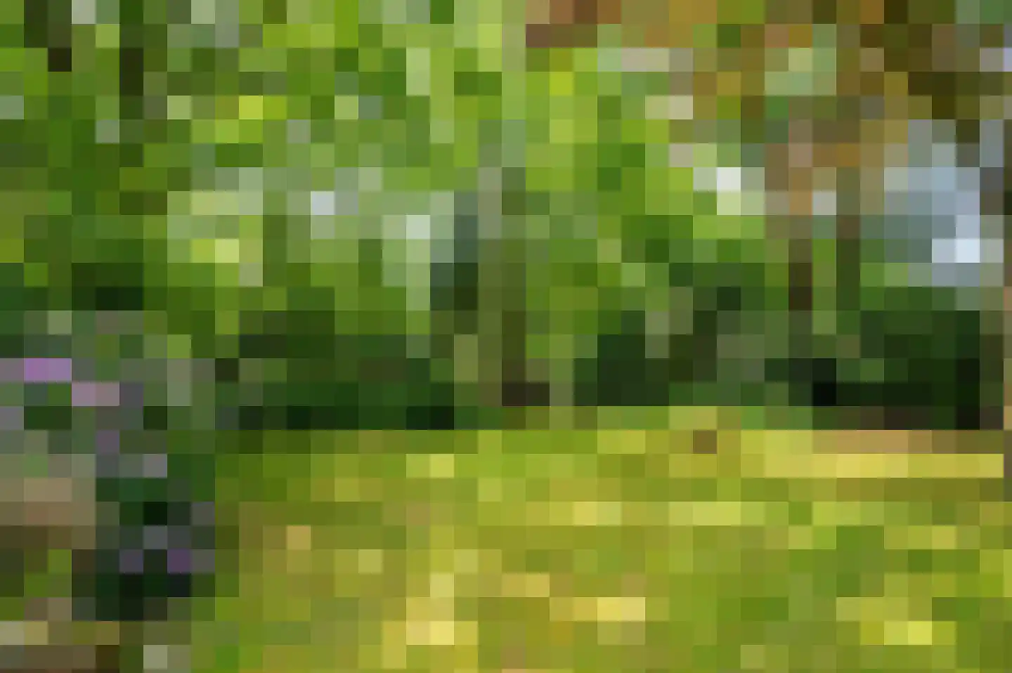 Warande 3 Deurne thumbnail 57