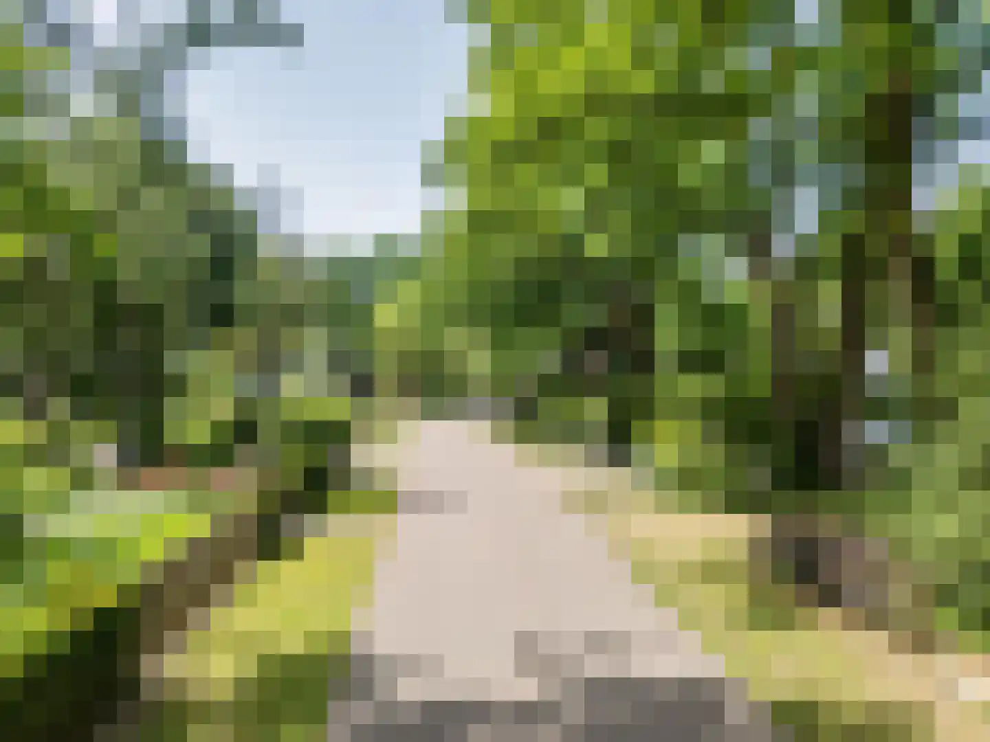 Warande 3 Deurne thumbnail 6