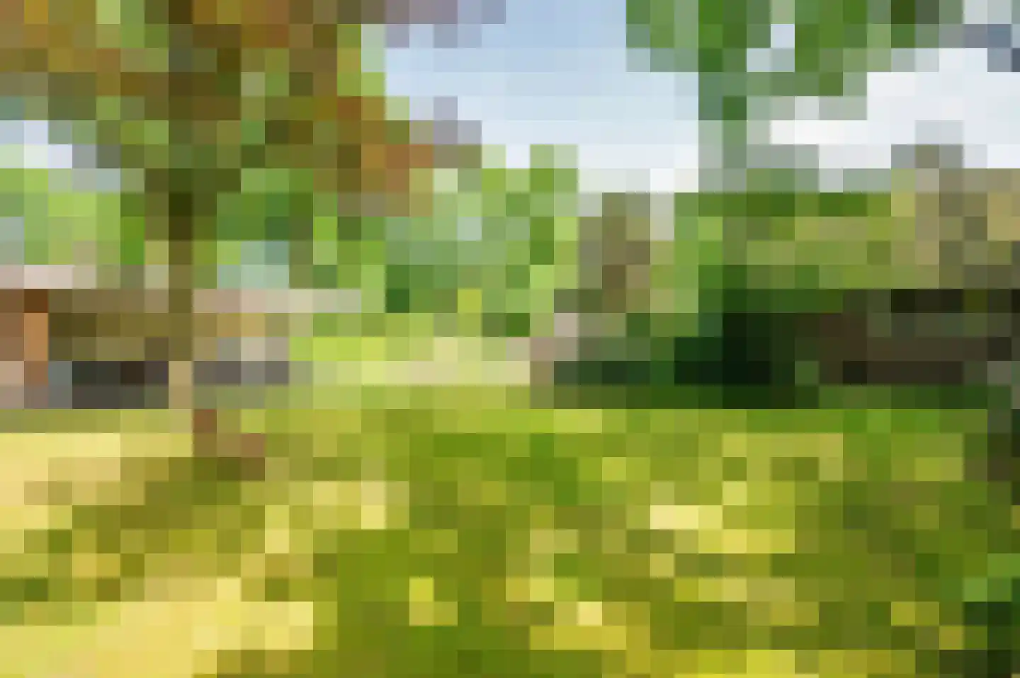 Warande 3 Deurne thumbnail 60