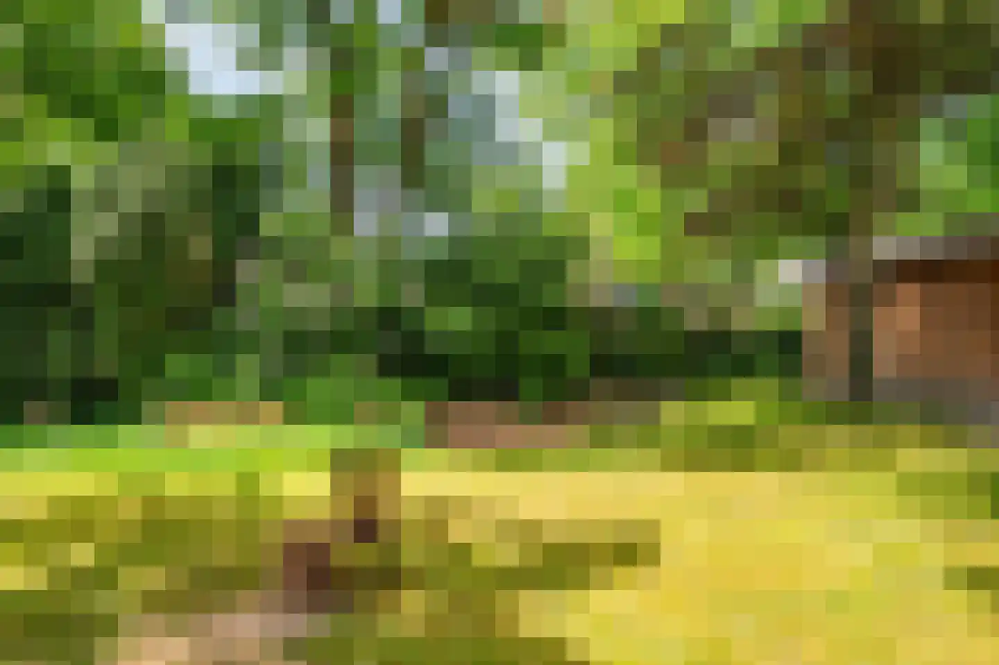 Warande 3 Deurne thumbnail 61