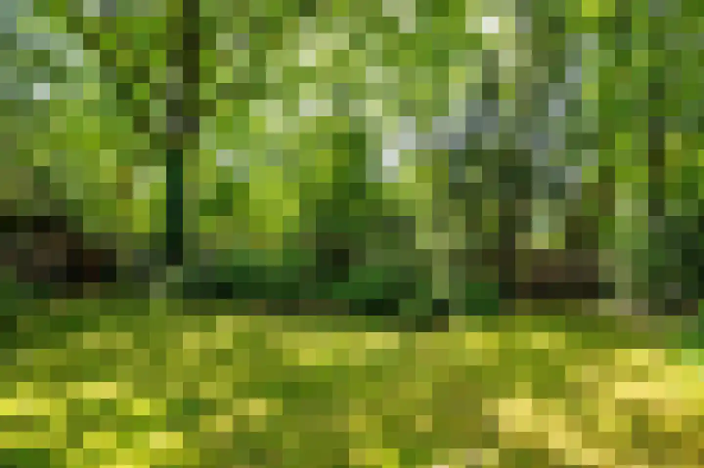 Warande 3 Deurne thumbnail 62