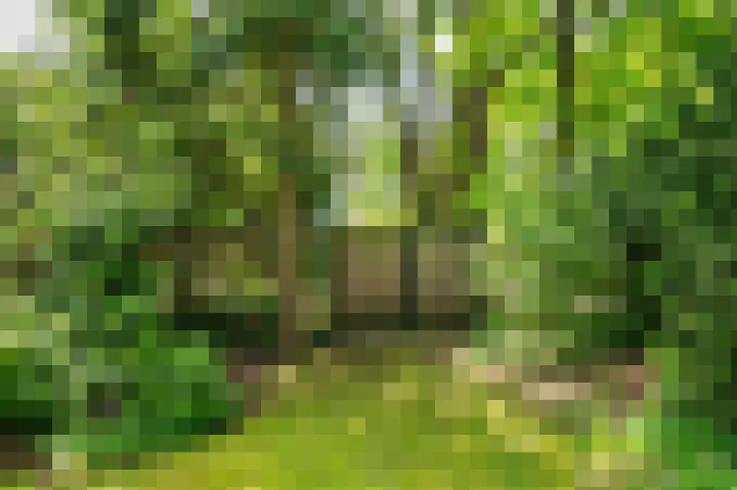 Warande 3 Deurne thumbnail 63