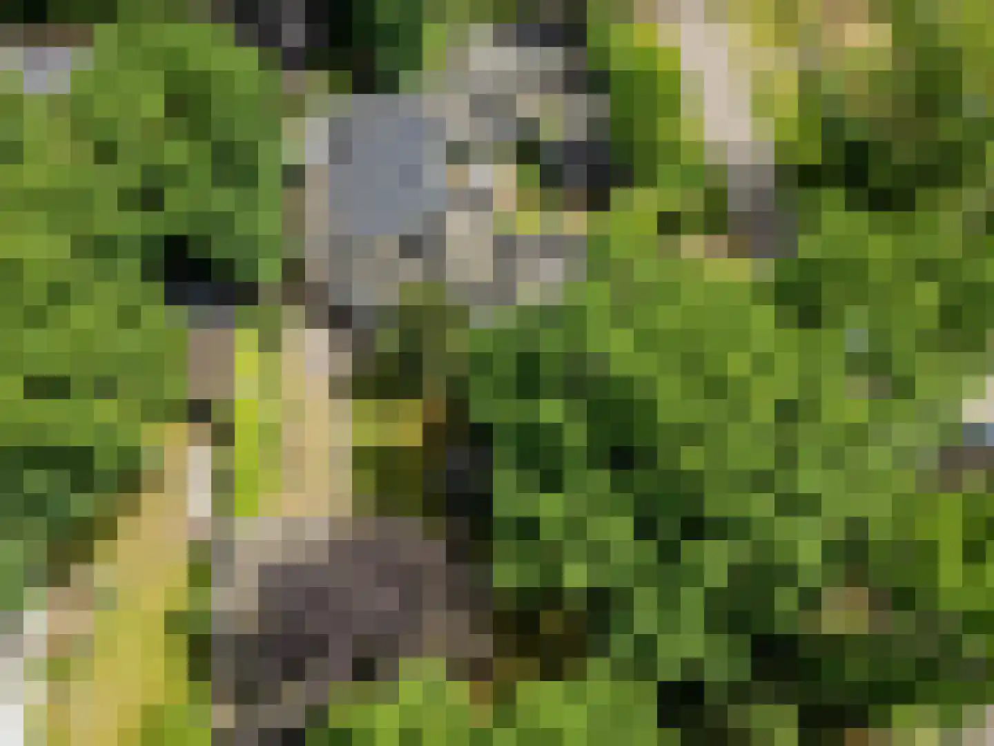 Warande 3 Deurne thumbnail 64