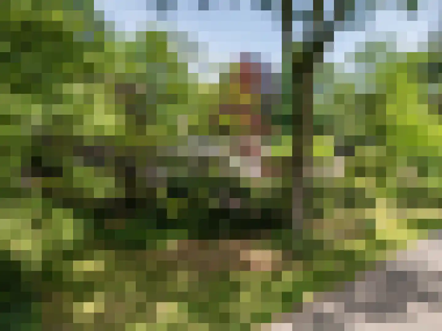 Warande 3 Deurne thumbnail 65
