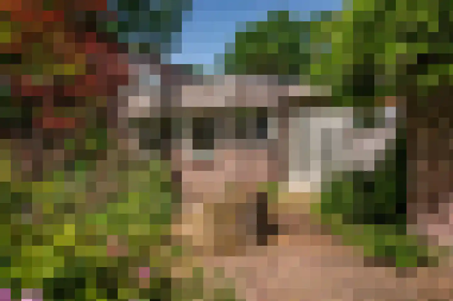 Warande 3 Deurne thumbnail 66