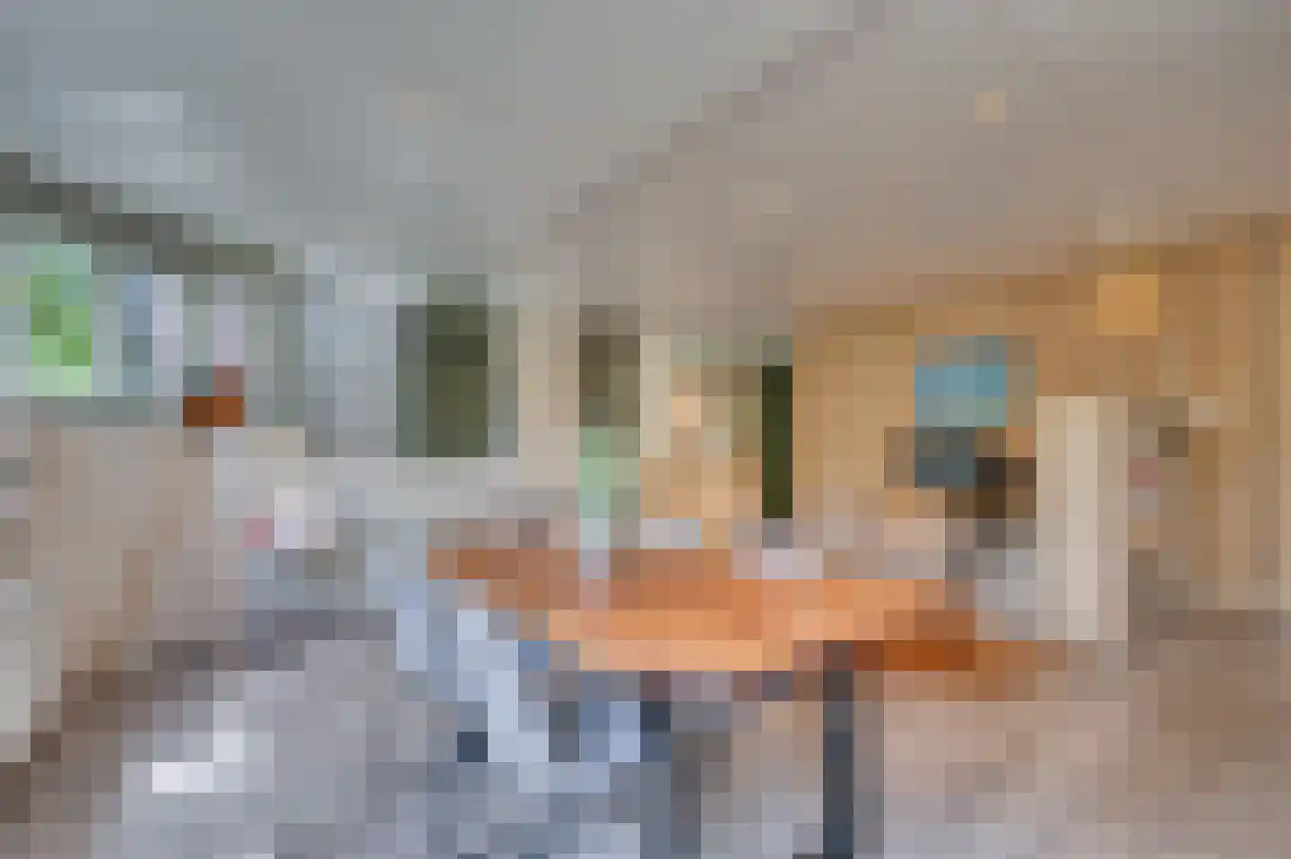 Warande 3 Deurne thumbnail 73