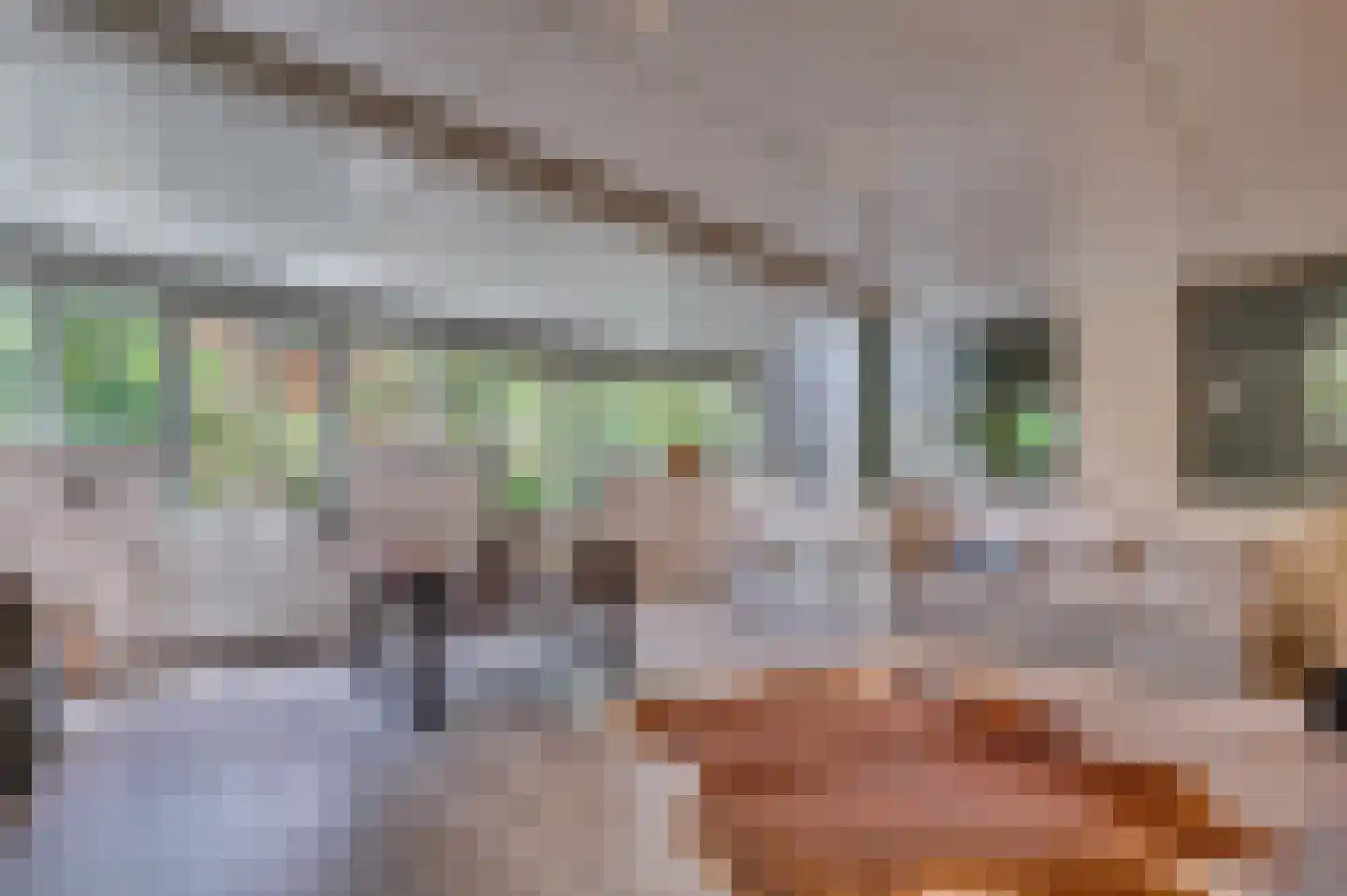 Warande 3 Deurne thumbnail 75