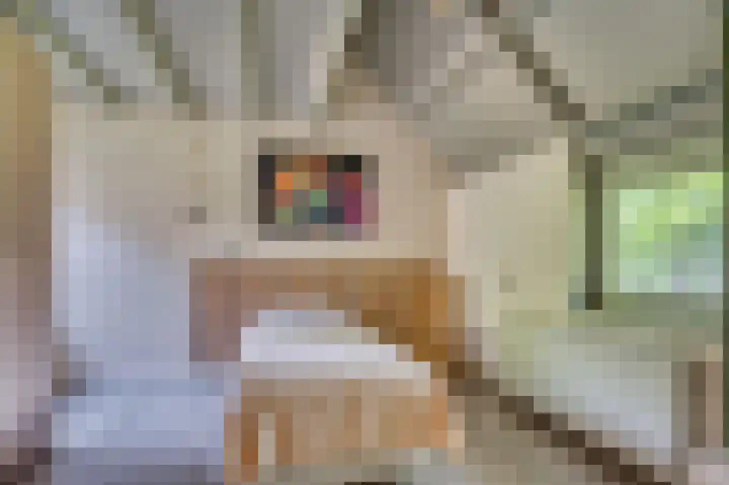 Warande 3 Deurne thumbnail 79
