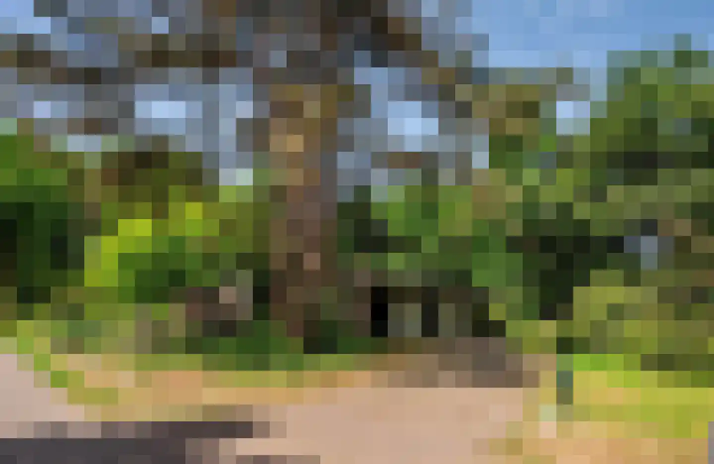 Warande 3 Deurne thumbnail 8