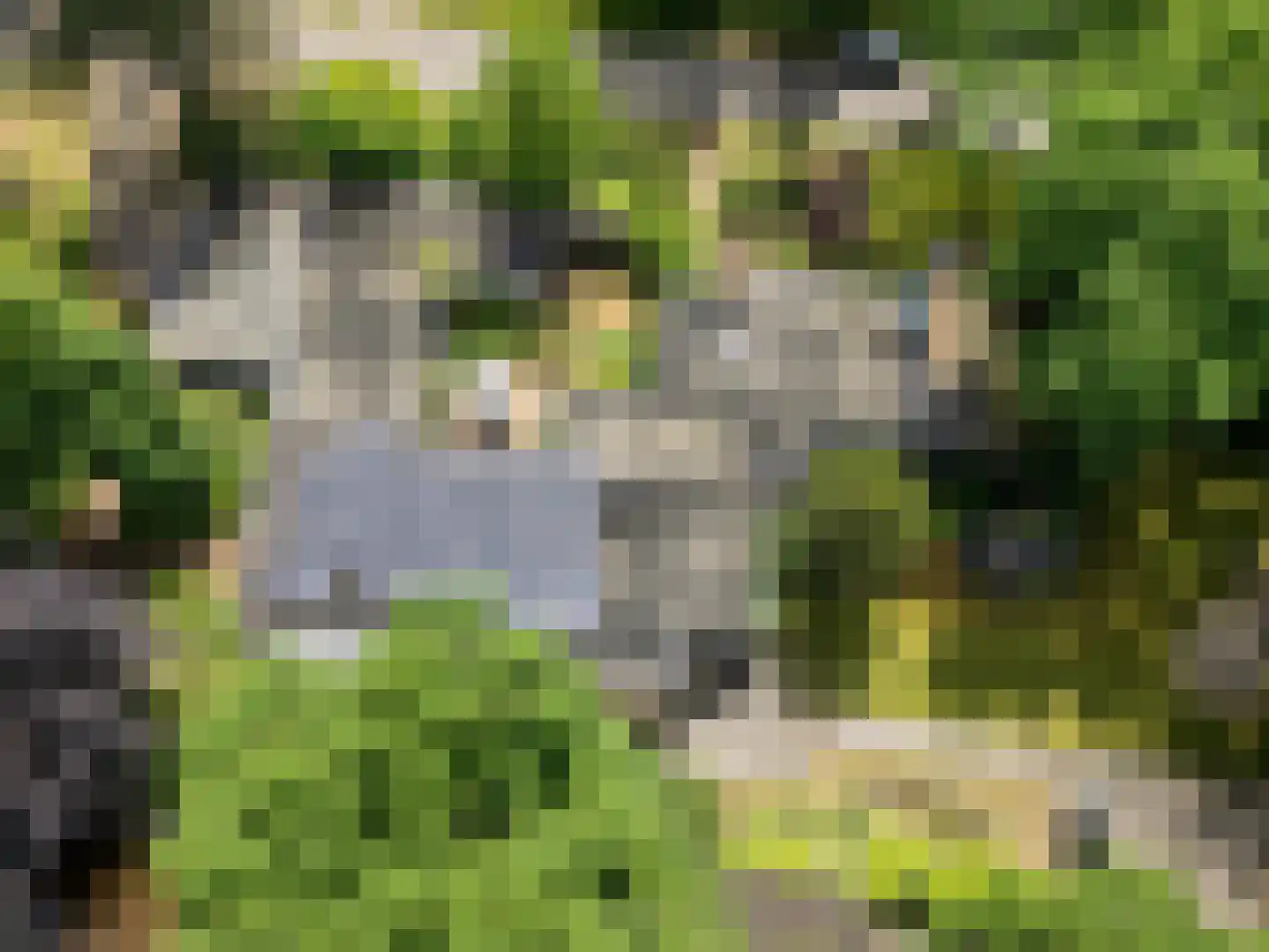 Warande 3 Deurne thumbnail 88