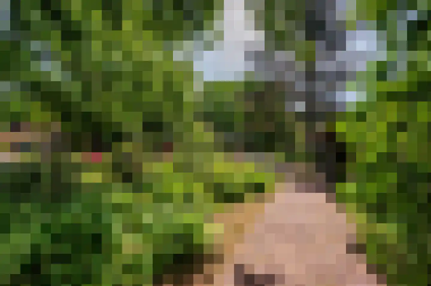 Warande 3 Deurne thumbnail 9