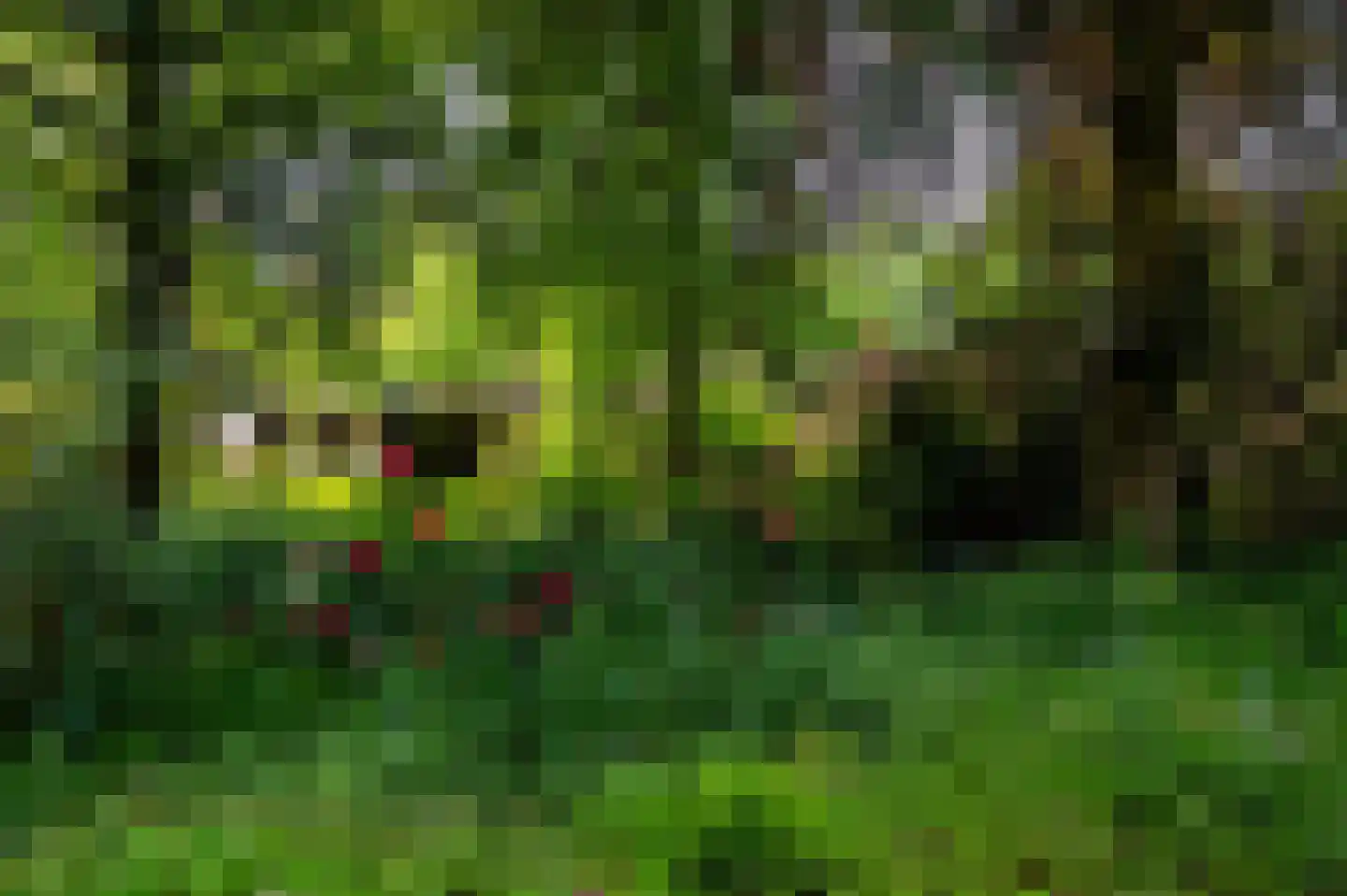 Warande 3 Deurne thumbnail 91