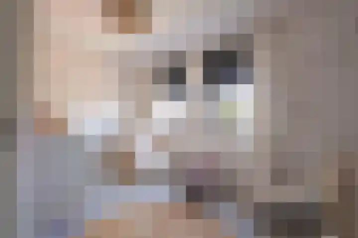 Warande 3 Schin op Geul thumbnail 11