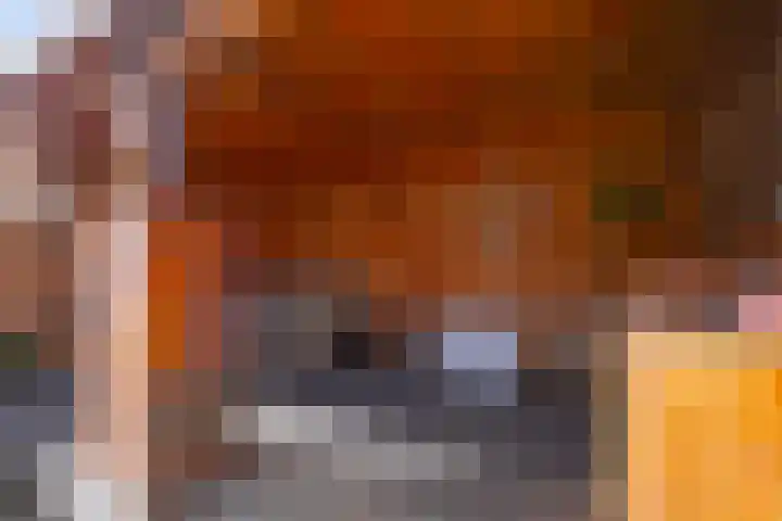 Warande 3 Schin op Geul thumbnail 20