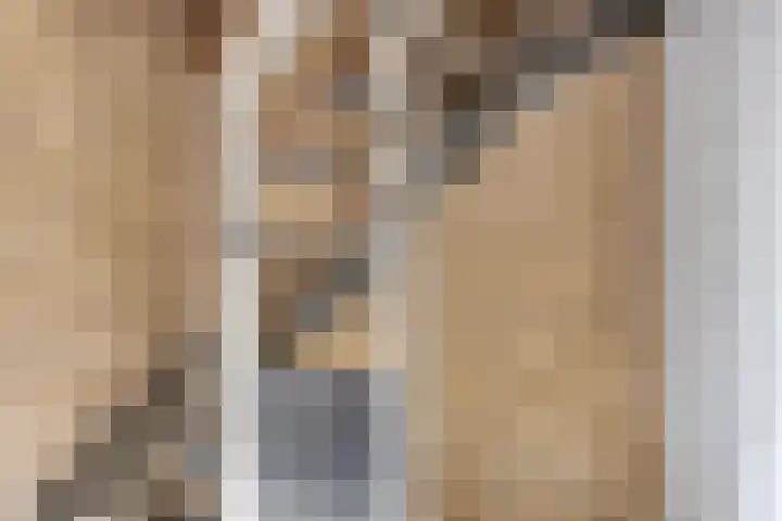 Warande 31 Nieuw-Vennep thumbnail 21