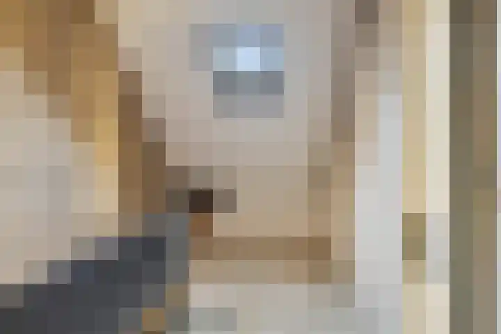 Warande 31 Nieuw-Vennep thumbnail 23