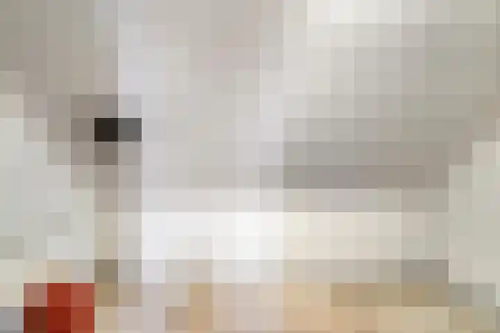 Warande 31 Nieuw-Vennep thumbnail 27