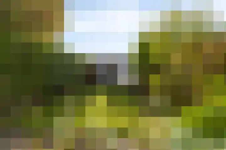 Warande 31 Nieuw-Vennep thumbnail 28