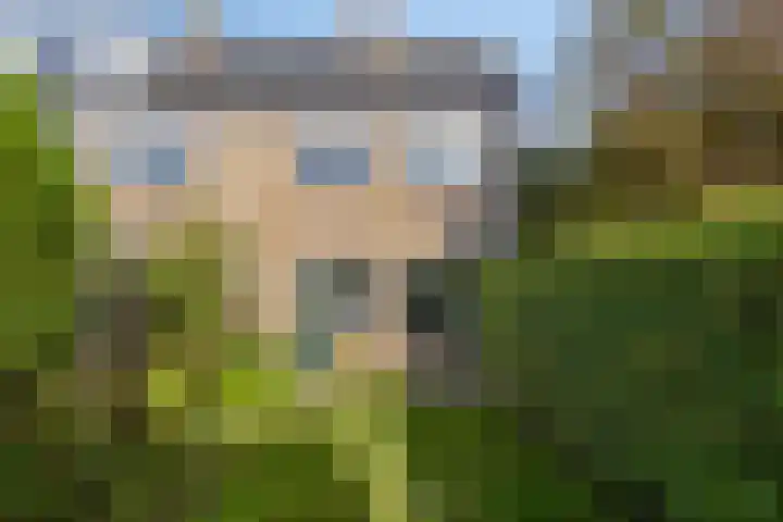 Warande 31 Nieuw-Vennep thumbnail 29