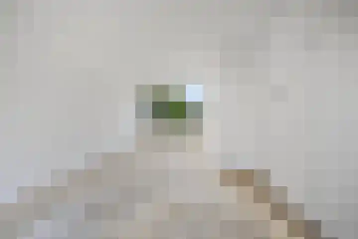 Warande 31 Nieuw-Vennep thumbnail 8