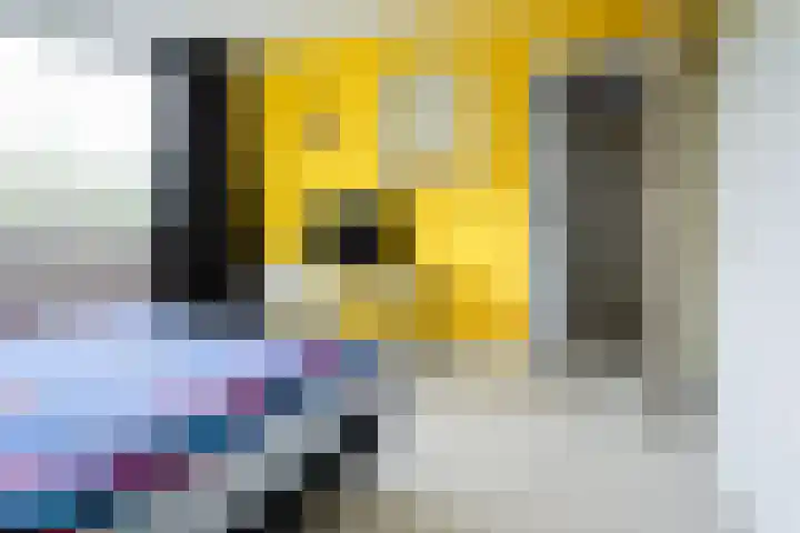 Warande 33 Nieuw-Vennep thumbnail 18