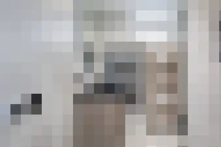Warande 33 Nieuw-Vennep thumbnail 19